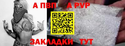 гашик Моздок