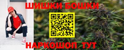 гашик Моздок