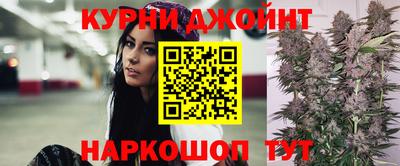 гашик Моздок