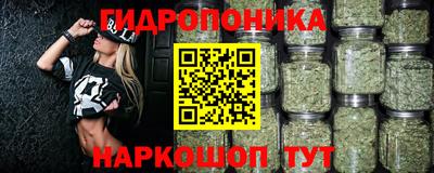 гашик Моздок