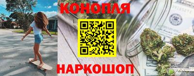 гашик Моздок