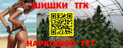 дмт Можайск