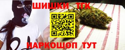 гашик Моздок