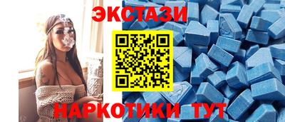 гашик Моздок