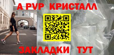 гашик Моздок