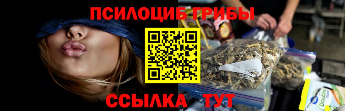Галлюциногенные грибы Psilocybine cubensis Чита